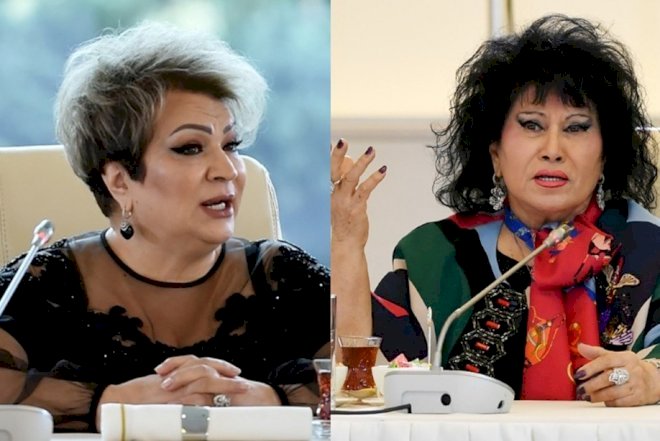    Afaq Bəşirqızının Milli Məclisdə Zeynəb Xanlarovanı əvəzləməsi istənilir -   Açıqlama