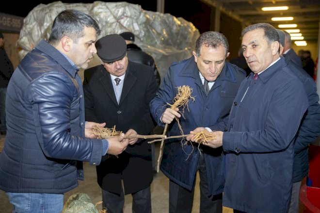    Çindən Azərbaycana 1 milyon ədəd tut tingi gətirildi   