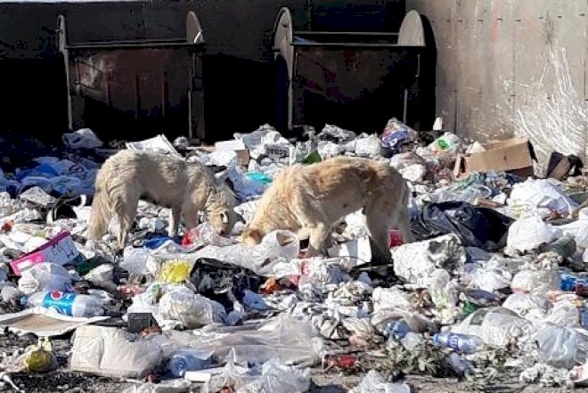    Tullantılar ətrafa qoxu yaydı, nazirlik hərəkətə keçdi   