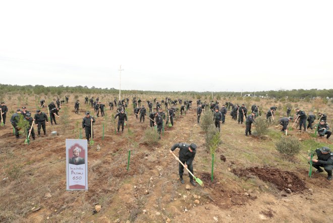    Azərbaycan polisi bir gündə 11 400 ağac əkdi   