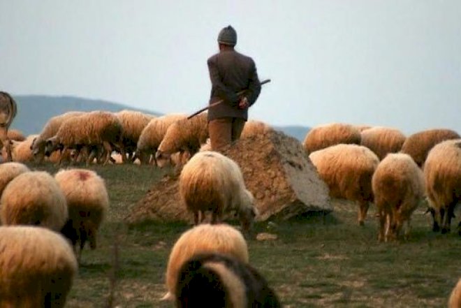   Çoban güllələnərək öldürüldü - Azərbaycanda   