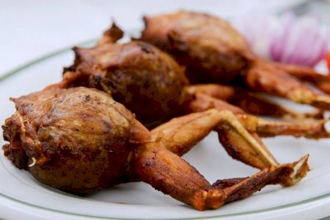   Azərbaycan Avropaya ilbiz, qurbağa ayağı satacaq   