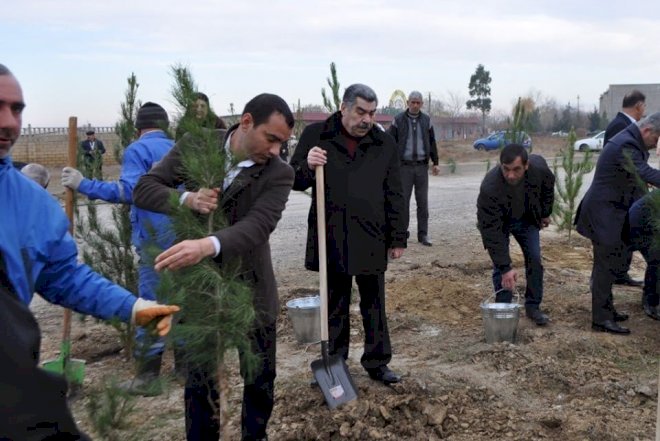    Yeni icra başçısı “lapatka” götürüb işə başladı - Fotolar   