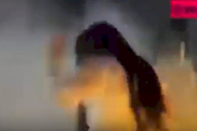    Şəbnəmin oxuduğu səhnə alışıb yandı -   Video
