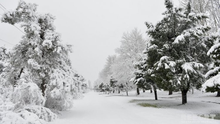    Bakıda güclü külək əsəcək, temperatur 0 dərəcəyə düşəcək  - XƏBƏRDARLIQ   