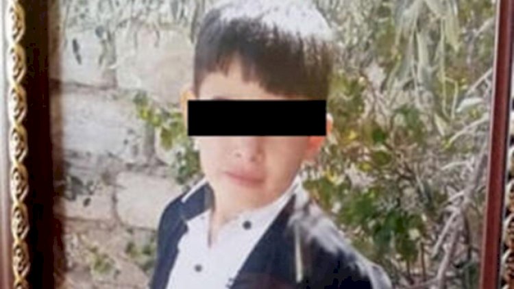    Bakıda it dişləyən 4-cü sinif şagirdi öldü - Foto   