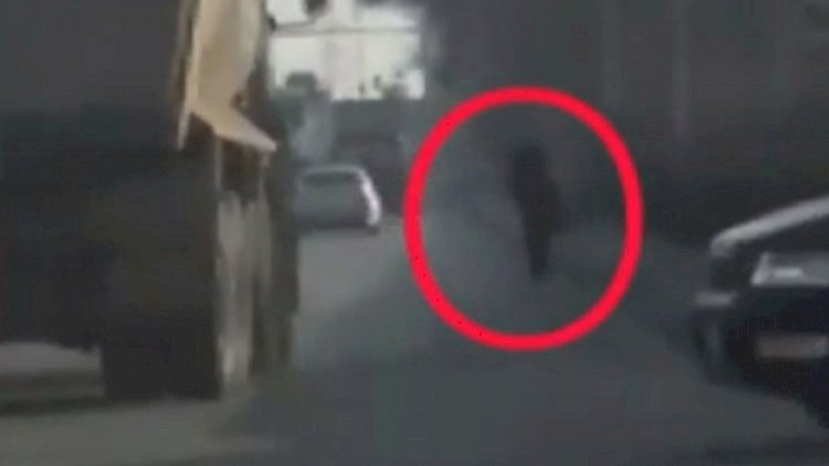    Paytaxtda sosial şəbəkələrdə görüntüləri yayılan qadın cərimələndi - Video   