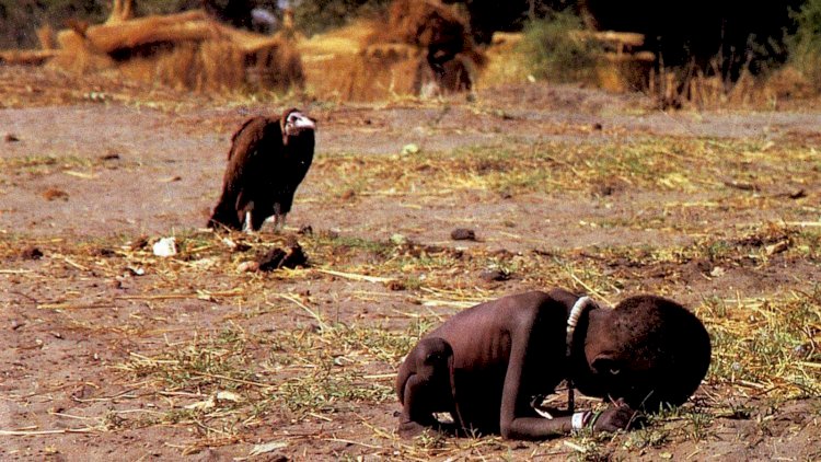    Fotoqrafı intihara sürükləyən məşhur foto haqda -   Doğru bildiyimiz yanlışlar...