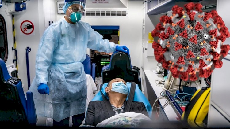    Koronavirus insanın ağciyərlərini bu hala salır -   Foto yayıldı