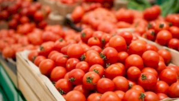    Koronavirusa görə Azərbaycan pomidorunun qiyməti 15 manata qalxdı   