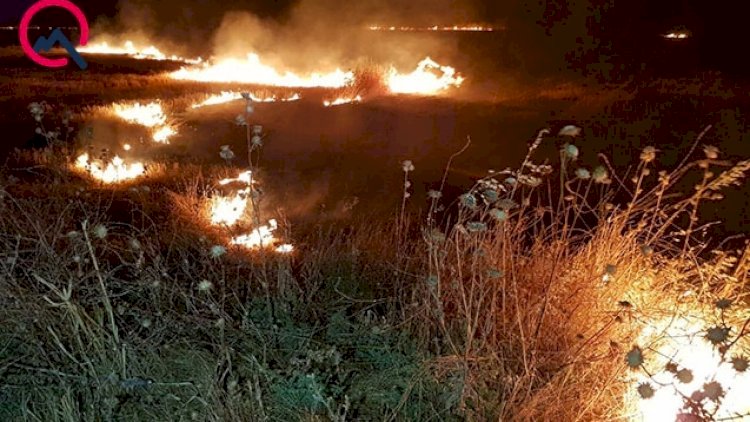    Güclü qasırğa yanğına səbəb oldu -   İcra başçısı hadisə yerinə gəldi