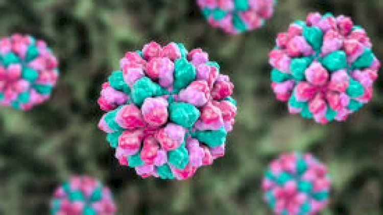    Norovirus 200 nəfəri xəstəxanalıq etdi - Daha bir virus dəhşəti   
