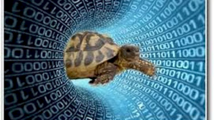    Tısbağa sürətli internetimiz: Problem niyə həll olunmur?   