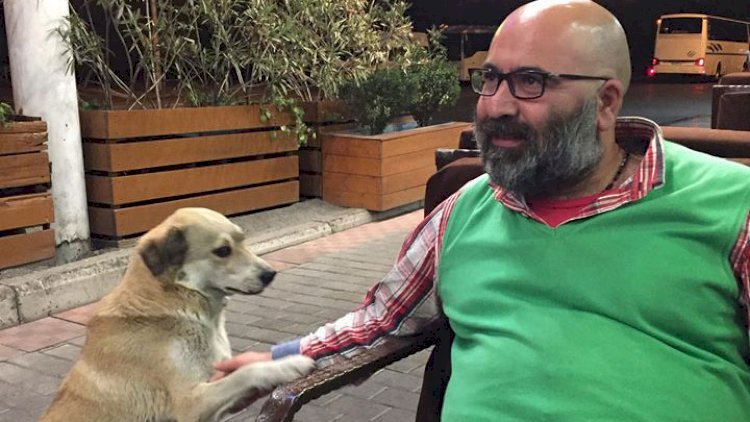    Qıraqda akulalar var, pusquda dayanıblar…    