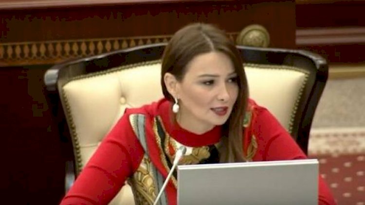    Qənirə Paşayeva Milli Məclisin komitə sədri seçildi   