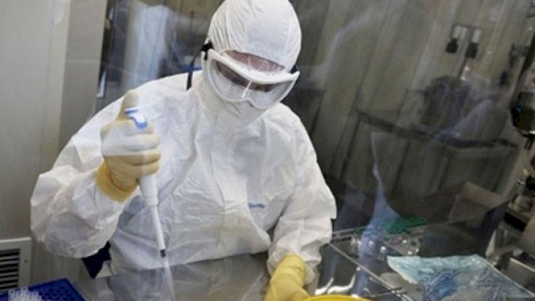    Azərbaycanda koronavirus testləri evdə ediləcək? - Açıqlama   