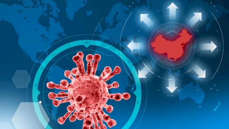    Koronavirus mikroskop altında belə görünür - Foto   