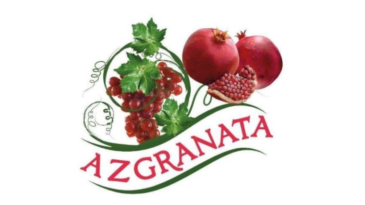    “AzGranata”dan koronavirusla mübarizəyə dəstək -   İki milyon manat