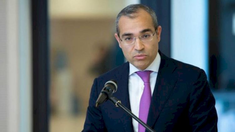    Azərbaycanda koronavirusdan ən çox zərər çəkən 12 sahə müəyyən edildi   
