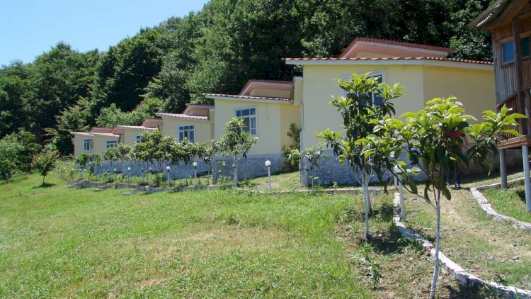    Azərbaycanda yeni turizm istirahət zonaları yaradılacaq   