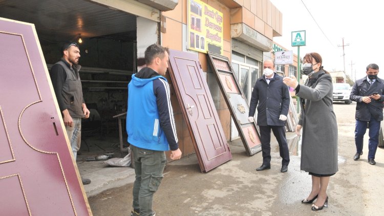    İradə Gülməmmədova kənd və qəsəbələrdə təbliğat aparır - Fotolar   