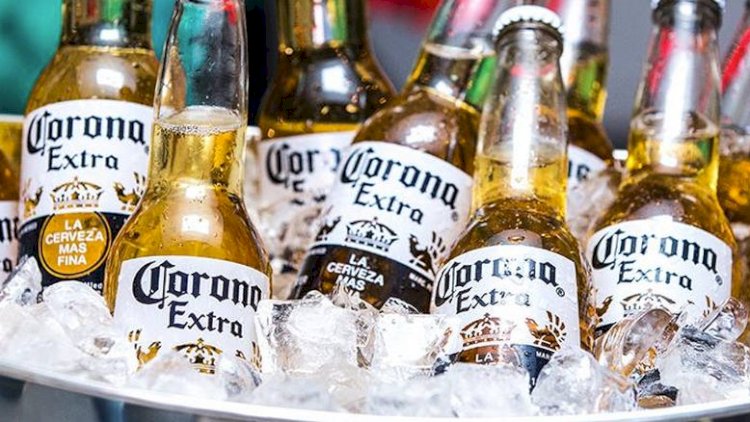    “Corona” pivəsinin istehsalı dayandırıldı - Virusa görə   