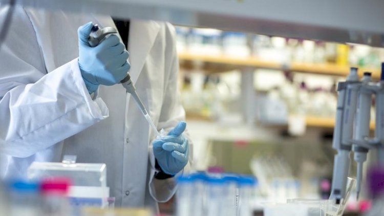    Azərbaycanda 41 673 nəfər koronavirus testindən keçirilib   