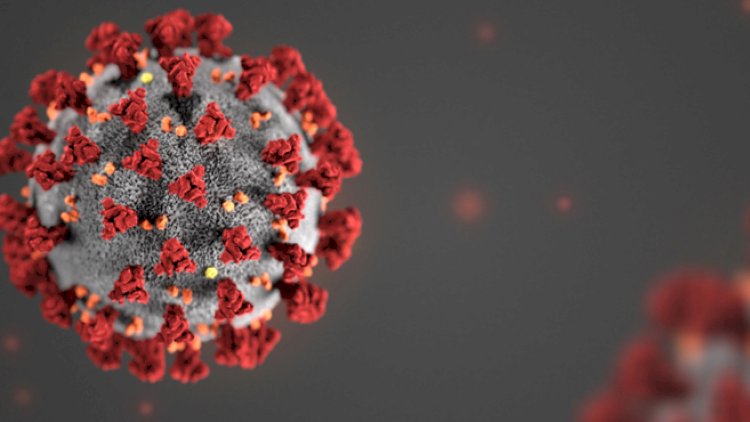    Koronavirus qanla da yoluxur? - TƏBİB aydınlıq gətirdi   