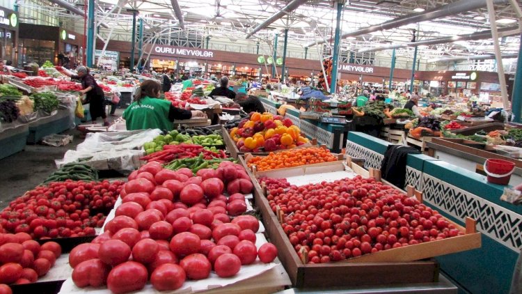    “Bu il ucuzluq olsa, gələn il qıtlıq olacaq”   - Ekspert