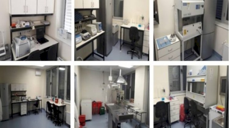    Ermənistana koronavirus Amerika laboratoriyalarından yayılıb?   
