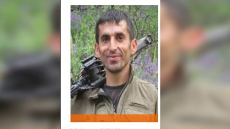    Türkiyənin başına 1 milyon pul qoyduğu “Hayri Mava” ləqəbli terrorçu tutuldu - Foto   