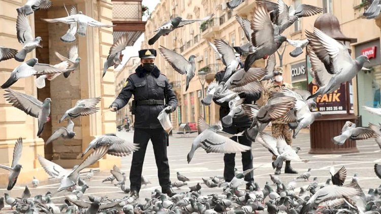    Polislər və göyərçinlər... - Bakının mərkəzində maraqlı görüntülər   