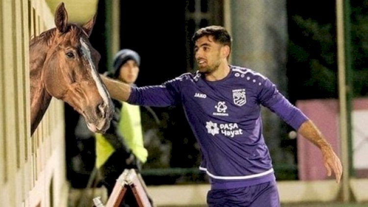    UEFA: “Azərbaycan futbol azarkeşlərinin üzünə təbəssüm gətirdi...” - Foto   