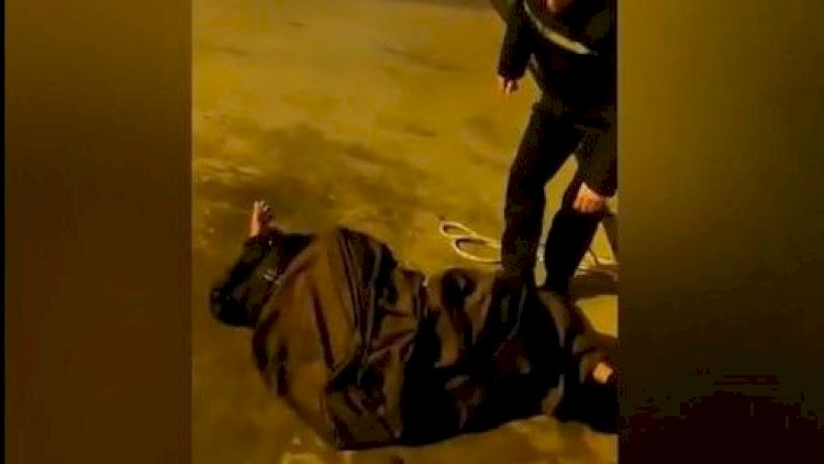    Bakı Bulvarında sevgilisi ilə intihar edən qızın meyiti tapıldı   