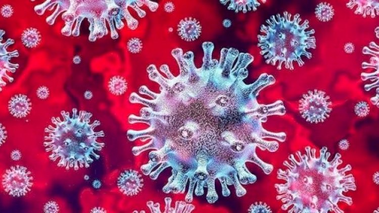    Koronavirus ayaqqabı ilə evə necə daxil olur? - VİDEO   