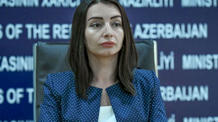    “Altmışa yaxın ölkədə yaşayan azərbaycanlılar geri qayıtmaq istəyirlər”   – XİN sözçüsü