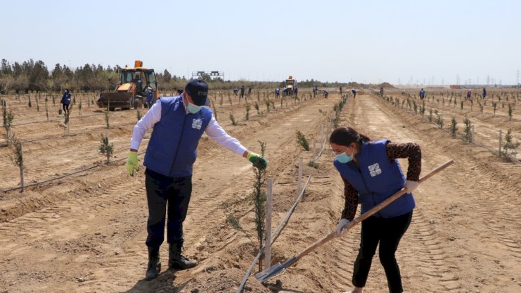    “Biz birlikdə güclüyük” şüarı altında yaşıllıq salındı - Fotolar   