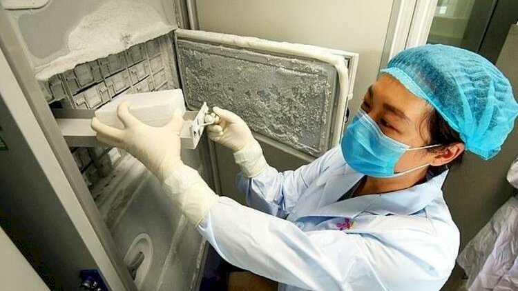    Çindən şok görüntülər: Koronavirus buzxanadan yayılıb   
