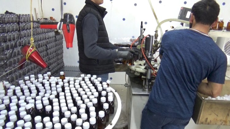    Bakıda zəhərli spirt satdıranlar tutuldu - Fotolar   