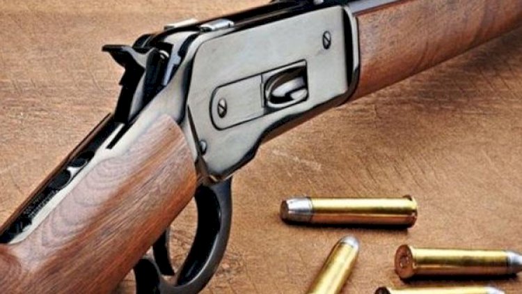    Polis Zərdabda sənədsiz odlu silah tapıb   