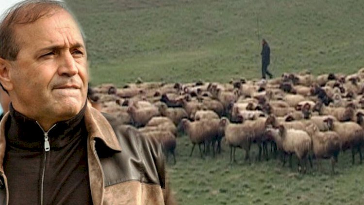   Milyonlarla pulu vardı, indi qoyun saxlayır...   
