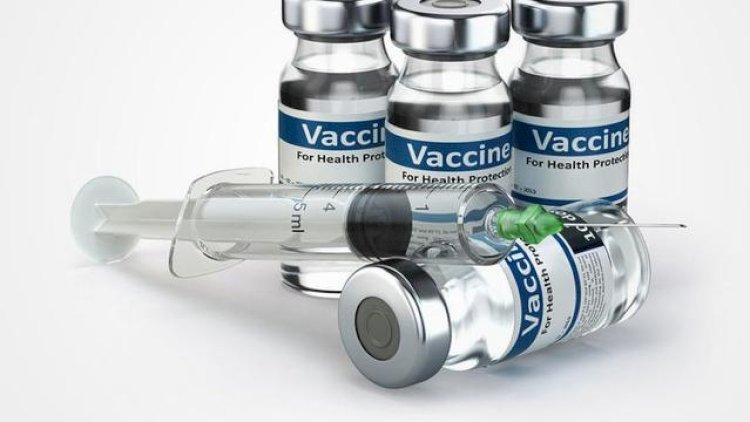    “Koronavirus azı bir il aktual olacaq, 2 vaksin sınağa buraxılacaq“ - Video   