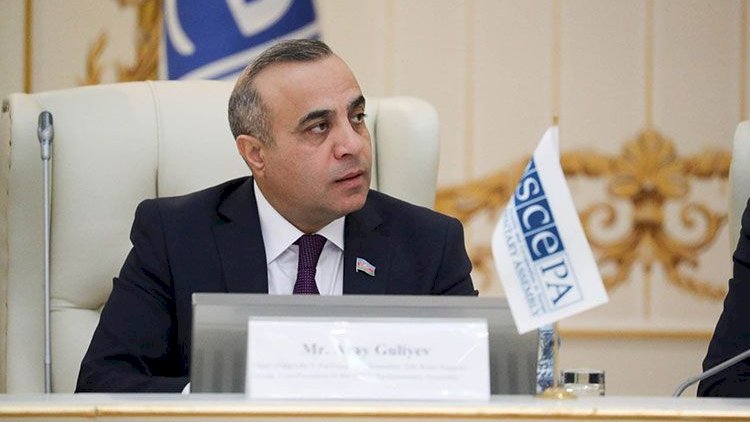    Azay Quliyev Azərbaycanın ATƏT PA-dakı nümayəndə heyətinin rəhbəri seçildi   
