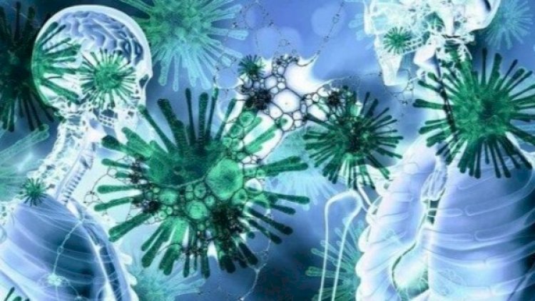    Koronavirus hansı orqanların işini pozur? - Ekspert açıqladı   