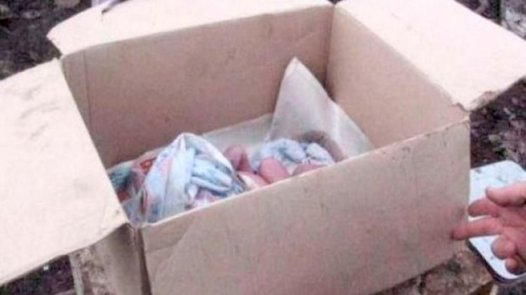    Bakıda dəhşət: Küçədən iki günlük körpə tapıldı   
