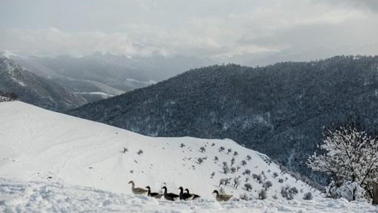    Ölkənin bu bölgələrinə qar yağdı - Faktiki hava   