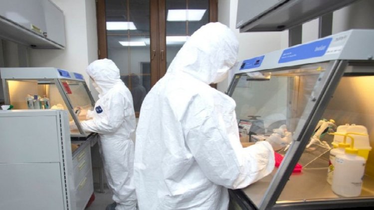    Koronavirusa təkrar yoluxma mümkün deyil, testlər keyfiyyətsiz imiş...   
