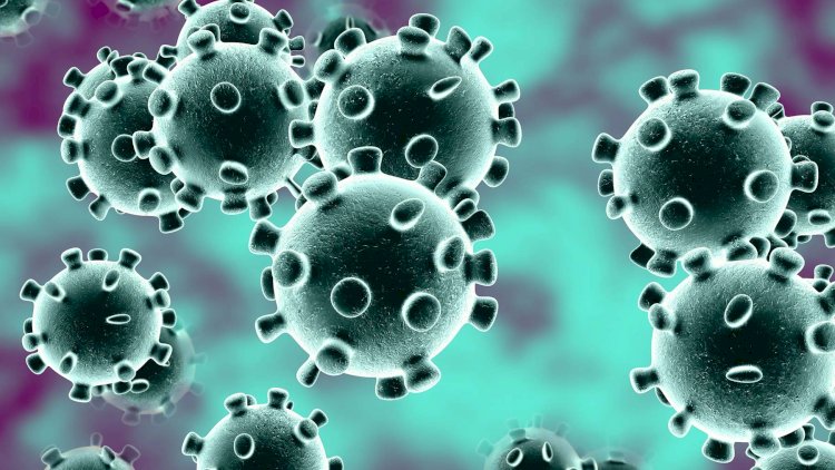    Koronavirus bu tarixdə geri qayıda bilər   