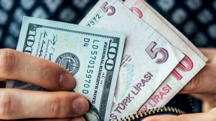    Türk lirəsinin məzənnəsi rekord səviyyəyə endi   