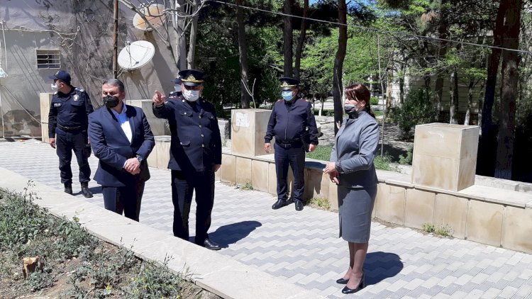   Xırdalanda ağac kəsildi, icra başçısı əraziyə gəldi -  Foto   